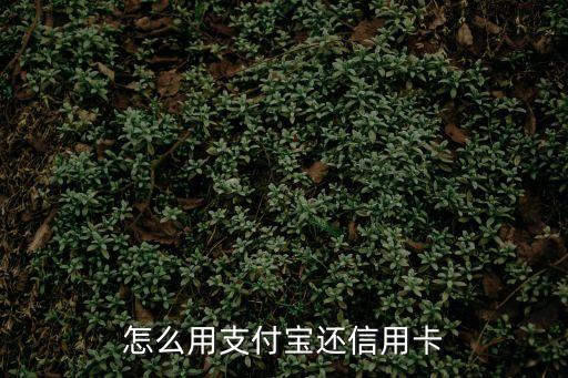 支付寶信用卡還款，怎么 用支付寶還信用卡