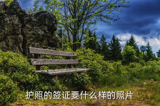 簽證照片，巴基斯坦簽證照片要求是什么