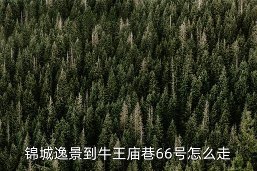 錦城逸景到牛王廟巷66號(hào)怎么走