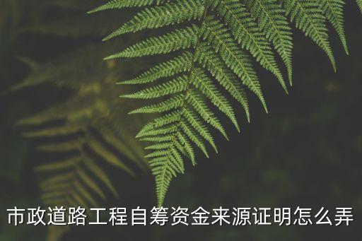 資金來源證明，請教有何辦法能辦理經(jīng)濟(jì)來源證明