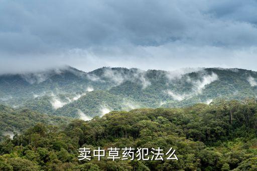 中藥材買賣，中藥材哪里最好賣