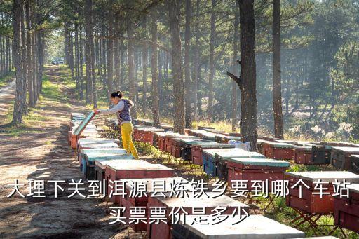 大理下關(guān)到洱源縣煉鐵鄉(xiāng)要到哪個(gè)車站買票票價(jià)是多少