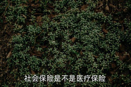 社保是不是醫(yī)保，社會保險是不是醫(yī)療保險