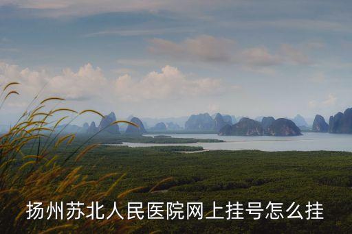 揚(yáng)州蘇北人民醫(yī)院網(wǎng)上掛號(hào)怎么掛