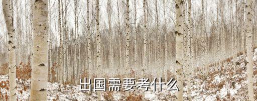 出國考試，出國讀大學(xué)要考什么  00