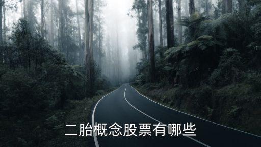 二胎概念股票有哪些