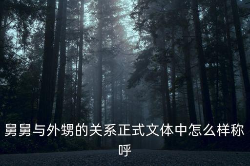 舅舅與外甥的關(guān)系正式文體中怎么樣稱呼