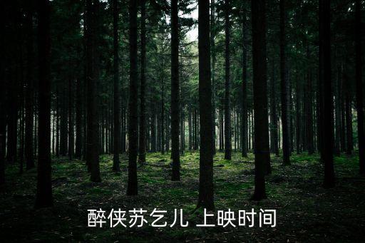 醉俠蘇乞兒 上映時間