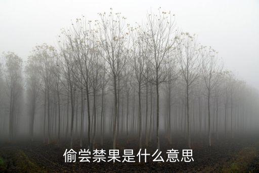 偷嘗禁果是什么意思