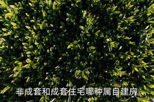 非成套和成套住宅哪種屬自建房