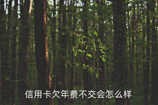 信用卡欠年費(fèi)不交會(huì)怎么樣