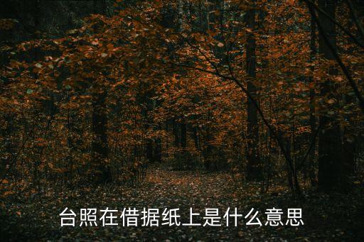 臺照在借據(jù)紙上是什么意思