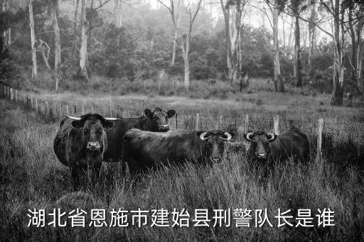 楊學(xué)林，楊學(xué)林的介紹