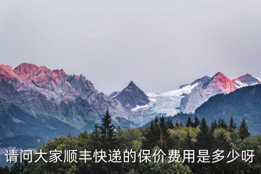 請(qǐng)問大家順豐快遞的保價(jià)費(fèi)用是多少呀