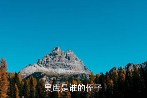 吳鷹，華誼兄弟傳媒股份有限公司的獨(dú)立董事吳鷹是原UT斯達(dá)康的老總吳