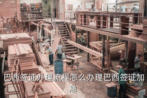 巴西簽證，如何辦理赴巴西個(gè)人旅游簽證