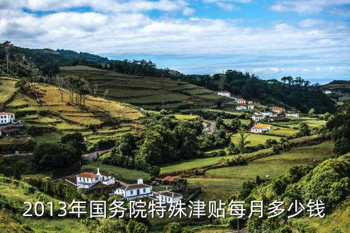 國(guó)家特殊津貼一個(gè)月多少錢，2013年國(guó)務(wù)院特殊津貼每月多少錢