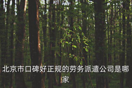 北京市口碑好正規(guī)的勞務(wù)派遣公司是哪家