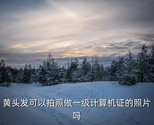 黃頭發(fā)可以拍照做一級計算機證的照片嗎