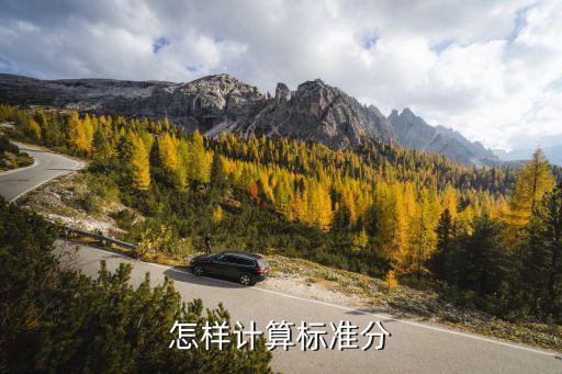怎樣計算標(biāo)準(zhǔn)分