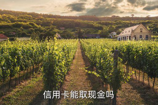 信用卡能不能取錢，信用卡能取現(xiàn)金嗎
