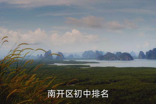 南開區(qū)小學排名，天津南開區(qū)中學排名