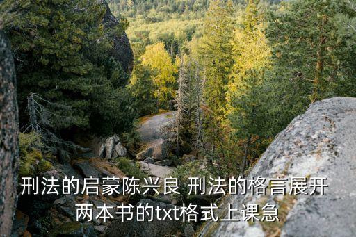 陳興良，刑法學(xué)研究是陳興良還是張明楷最強(qiáng)