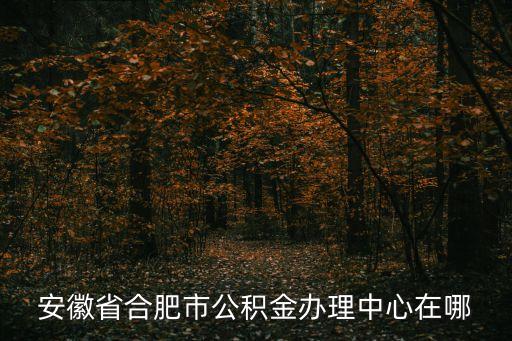 安徽公積金，安徽省合肥市公積金辦理中心在哪