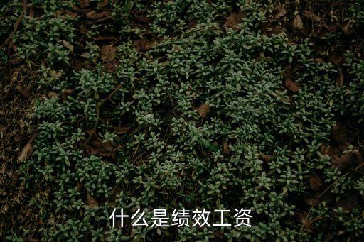 什么是績(jī)效工資