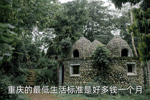 重慶的最低生活標準是好多錢一個月