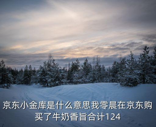 京東小金庫(kù)是什么意思我零晨在京東購(gòu)買(mǎi)了牛奶香旨合計(jì)124