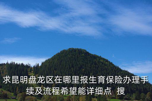 求昆明盤(pán)龍區(qū)在哪里報(bào)生育保險(xiǎn)辦理手續(xù)及流程希望能詳細(xì)點(diǎn)  搜