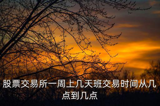 股票交易所一周上幾天班交易時間從幾點到幾點
