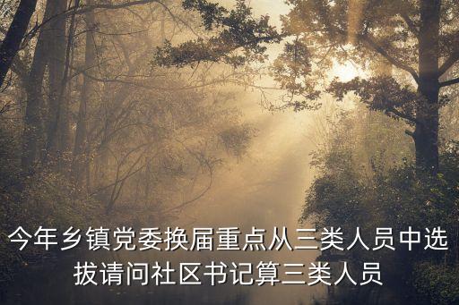 今年鄉(xiāng)鎮(zhèn)黨委換屆重點從三類人員中選拔請問社區(qū)書記算三類人員