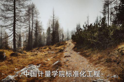 標(biāo)準(zhǔn)化工程，中國(guó)計(jì)量學(xué)院標(biāo)準(zhǔn)化工程