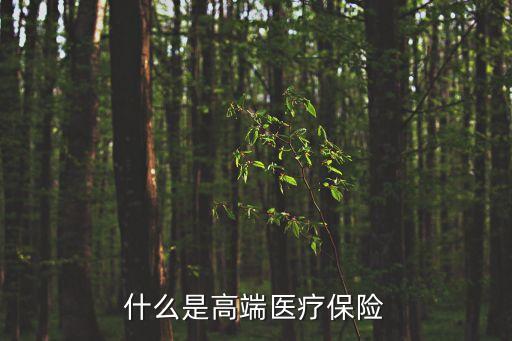 高端醫(yī)療險(xiǎn)，什么是高端醫(yī)療保險(xiǎn)