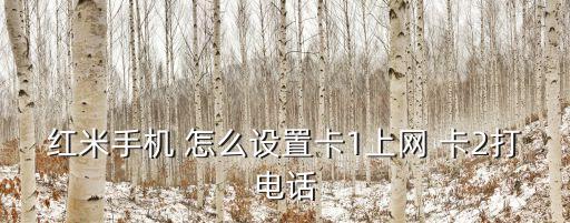 紅米手機 怎么設(shè)置卡1上網(wǎng) 卡2打電話