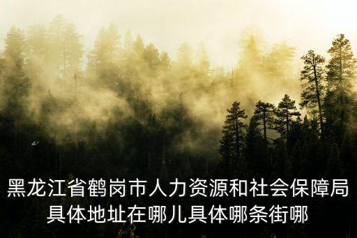 黑龍江省鶴崗市人力資源和社會(huì)保障局具體地址在哪兒具體哪條街哪