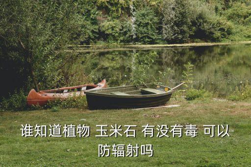 誰知道植物 玉米石 有沒有毒 可以防輻射嗎