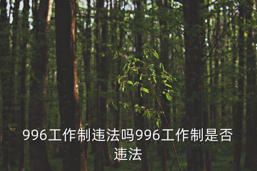 996違法嗎，九五至尊不違法嗎