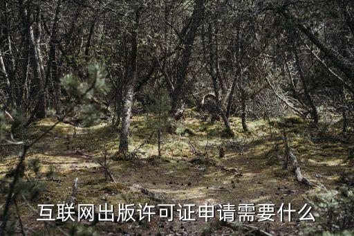 互聯(lián)網(wǎng)出版許可證，互聯(lián)網(wǎng)出版許可證的有效期為多長啊