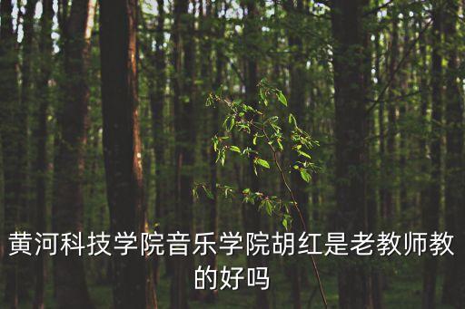 胡紅，胡紅車牌號后三位是什么