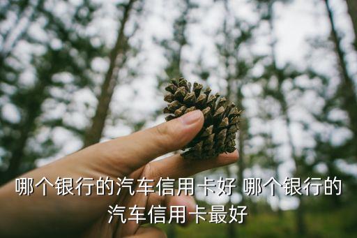 哪個(gè)銀行的汽車信用卡好 哪個(gè)銀行的汽車信用卡最好