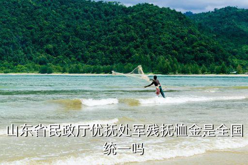 山東省民政廳優(yōu)撫處軍殘撫恤金是全國統(tǒng)一嗎