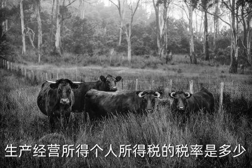 個(gè)人經(jīng)營(yíng)所得稅，生產(chǎn)經(jīng)營(yíng)所得個(gè)人所得稅的稅率是多少