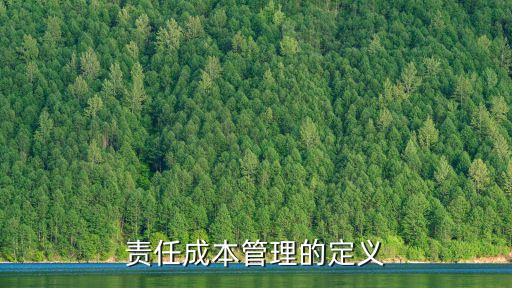 責任成本管理的定義