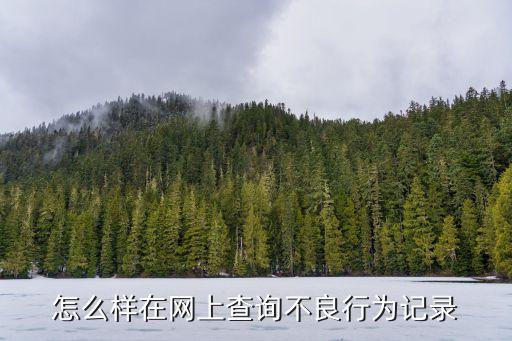不良記錄怎么查，如何查信用不良記錄