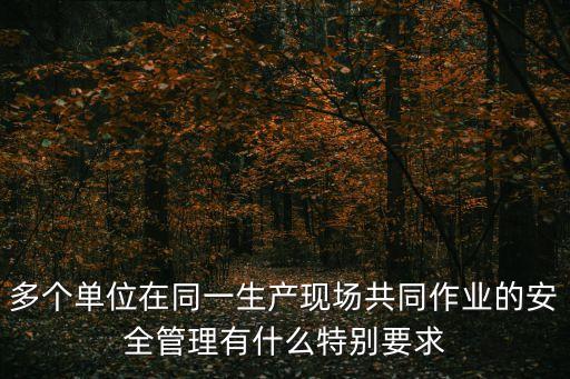 多個(gè)單位在同一生產(chǎn)現(xiàn)場(chǎng)共同作業(yè)的安全管理有什么特別要求