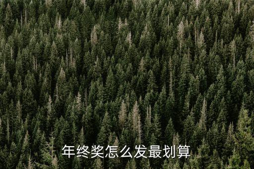年終獎(jiǎng)怎么發(fā)最劃算