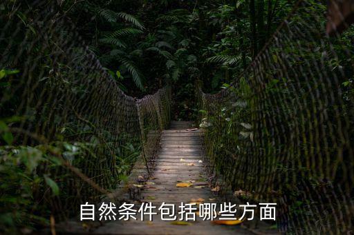 自然條件，大自然為人類提供了哪些生存的條件說一說